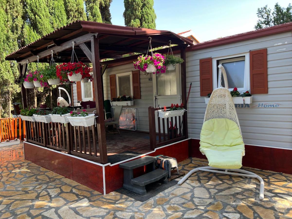 Apartma And Dalibor *