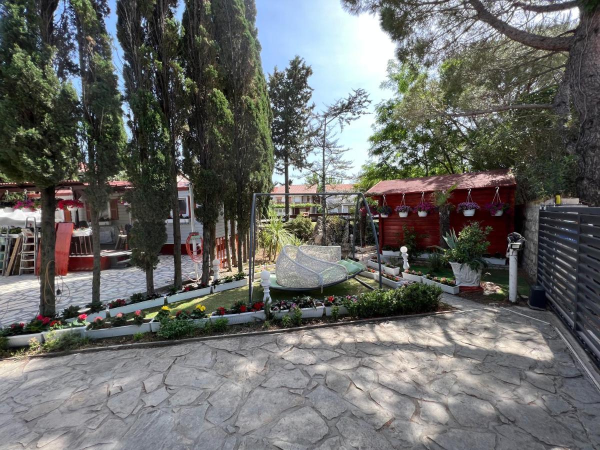Apartman And Dalibor Nin