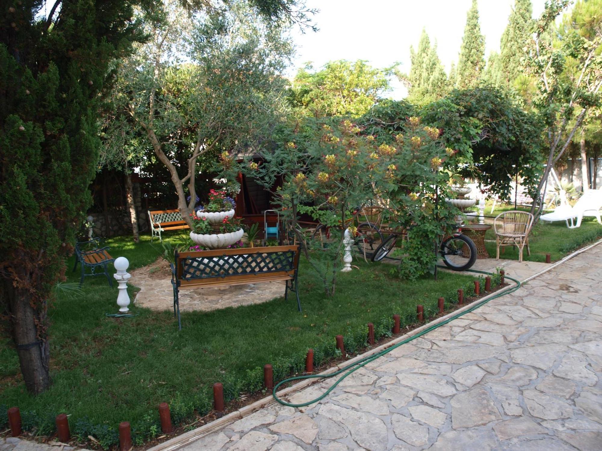 And Dalibor Apartma