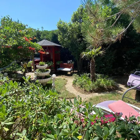 Apartments And Bungalows Vila Dalibor Nin Exterior photo