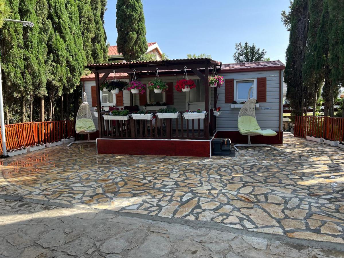 And Dalibor Apartment Nin